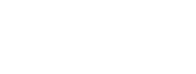 230419_AAON_websitelogo_300